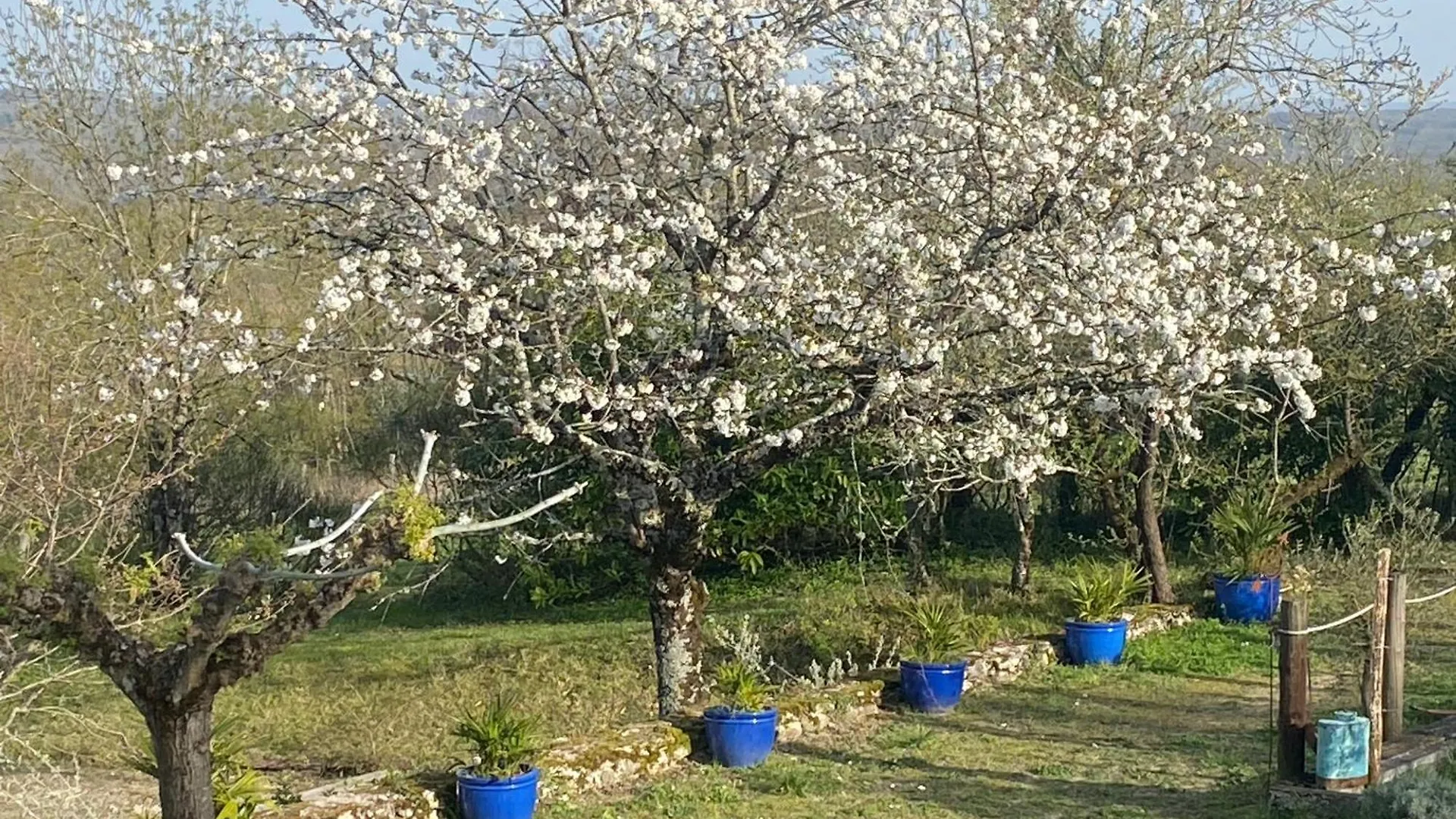 Gite De Las Treilles Puylaroque